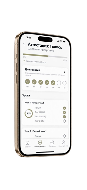 Прогресс программы на смартфоне
